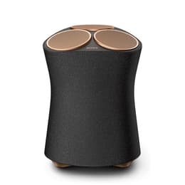 Lautsprecher Bluetooth Sony SRS-RA5000 - Schwarz