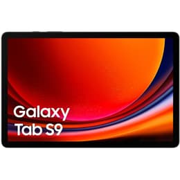 Galaxy Tab S9 256GB - Grau - WLAN