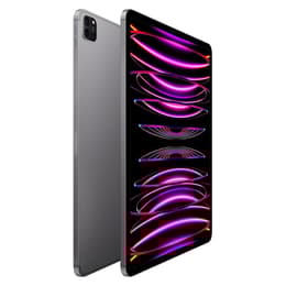 iPad Pro 12.9 (2022) 6. Generation 128 GB - WLAN + 5G - Space Grau