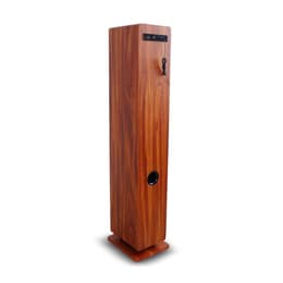 Lautsprecher Bluetooth Inovalley Woodtower - Braun