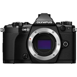 Olympus OMD E-M5 + Olympus Digital 17mm f/2.8