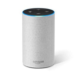 Lautsprecher Bluetooth Amazon Echo - Grau