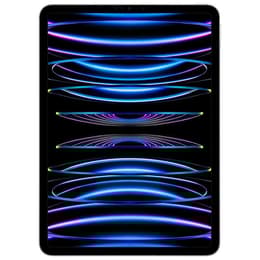 iPad Pro 12.9" (2022) 6. Generation 1000 GB - WLAN - Silber