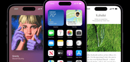 iPhone 14 Pro Display