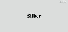 iphone 14 silber
