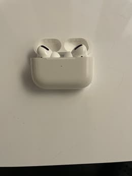 Apple AirPods Pro 1. Generation (2021) - MagSafe Ladecase | Back