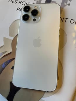 iPhone 13 Pro Max 256GB - Gold - Ohne Vertrag | Back Market