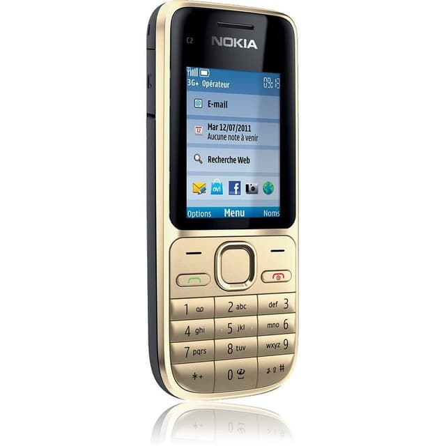 Nokia C2-01 - Gold- Ohne Vertrag